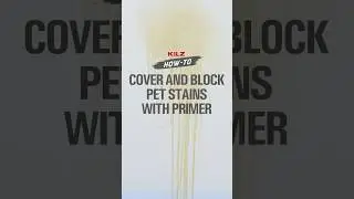 How to Cover & Block Pet Stains with KILZ Restoration&reg; Primer