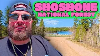 Driving Through Shoshone National Forrest In Wyoming USA 🇺🇸