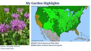 Garden Hour: July 29 -  Master Gardener Summer Updates; Pollinators and Plants