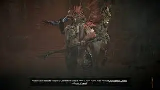 Raven Druid - farming in T2 - D4 S10