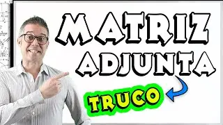 Matriz Adjunta con TRUCO 2x2 y 3x3