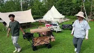Folding Wagon With Canopy