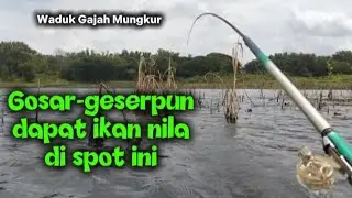 Mancing WGM Terbaru||Gosar-geser dapat ikan⁉️Ikan makan secara individu‼️#mancing #fishing #wgm
