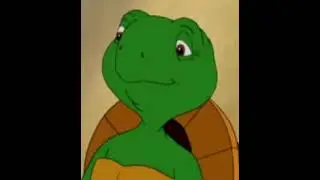 Mr. Turtle - The Green Orbs