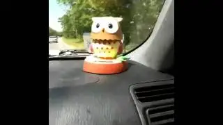 Solar owl