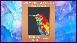 Birds Of The World by Eclipse Art Books | Completed Book Flip Through