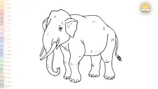 Elephant drawing video | Forest Elephant drawings | How to draw an Elephant step by step | #art