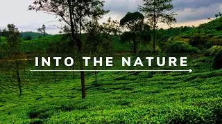 Nature \ cinematic video \ with a Smartphone /#Environment-Day /#happy-world-environment-day