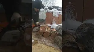 Still ms 211 c режет кучу дуба