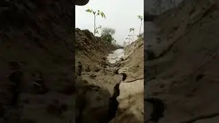 Floods। Graduate chutiyapa। 😎😎😎। Flood waters। Tomato farming