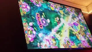 Fish Table Game. Live and entertaining
