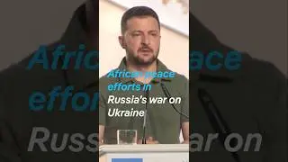 African peace efforts in Russia's war on Ukraine #DWAfrica