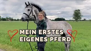 Mein erstes eigenes Pferd ❤