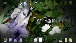 The Royal Family ::A Breyer Movie::
