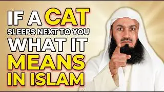 If a Cat Sleeps Next to You&hellip; Islam Tells You the Truth (Not What You Think) | Mufti Menk
