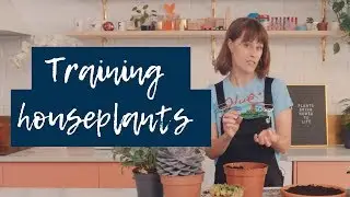 How can I control the shape or direction that my plant grows?  🌵 🌿