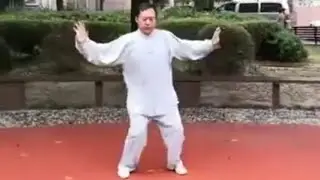 Tai Chi Master Ma Baoguo in teaching