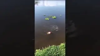 Peguei ou n&atilde;o peguei haha