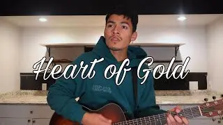 Shawn Mendes - Heart of Gold (cover)