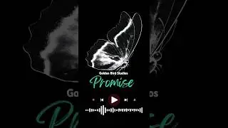 #promise#musiclove#trending#trend#music#remix#short#edit#viral#tiktok#wive#youaretheone