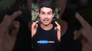 Frog Famine: The Dark Reality of North Korea