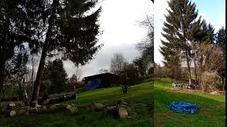 25m Tanne Seith&auml;nger / Linksh&auml;nger f&auml;llen