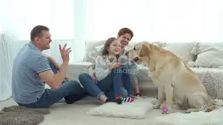 Furry Frenemies: Hilarious Cat and Dog Moments!