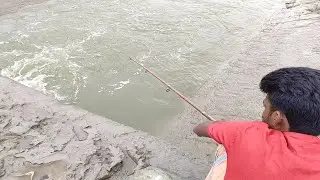 Best Hook Fishing | Catching The Back To Back River Fishing in Flowing Water