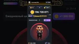 азбука морзе hamster kombat | шифр hamster кombat | хамстер комбат азбука морза  #hamsterkombat