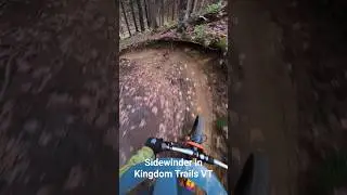Sidewinder in Kingdom trails VT #mtbvt #mtblife #endurobicis #somewhereinvermont #mtbtrip #insta360