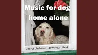 Music for dog home alone (feat. Slow Heart Beat)