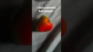 I find a bell pepper in my bed hehe #growagardenroblox