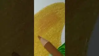 Realistic kiwi drawing🥝🥝