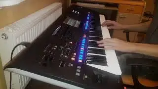 | Białe Łabędzie | Yamaha Genos |
