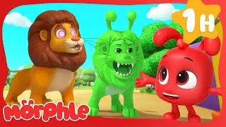 Real Lion vs Green Lion! 🦁💚 |  Morphle 1 Hour | Moonbug Kids - Fun Stories and Colors