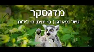 טיול מאורגן למדגסקר -  13 ימים // בטרפליי טורס