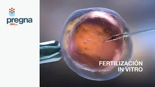 PREGNA - Fertilizaci&oacute;n in vitro