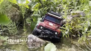 Jungle run - Traxxas TRX4 Defender