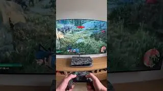 Permadeath mode on Days Gone Remastered would be too much for me