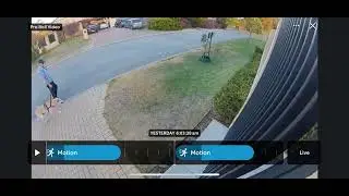 Example of the Ring Timeline feature