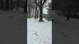 another snowy walk round shroggs park westyorkshire england