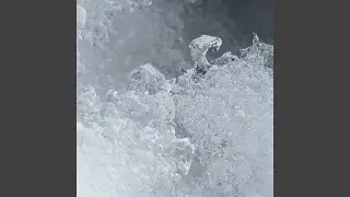 ハクシ (feat. さとり)
