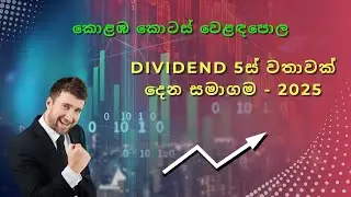 A Company That Pays Dividends 5 Times a Year &ndash; 2025 - SINS.N - EP 03