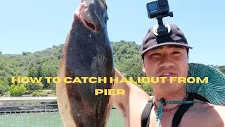 How to Catch Halibut at Paradise Pier