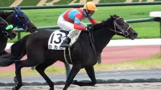 【武豊】早くも4601勝目を次の日の中京で挙げる‼ 現地映像 ⑬ロカヒ