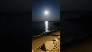 Whispers of the Sea: From Sunset to Moonlight