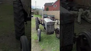 Ferguson ted20 tickover #ferguson#tractor