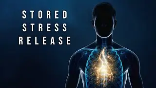 528Hz + 396Hz | Release Emotional Stress Stored in the Body | Nervous System Reset