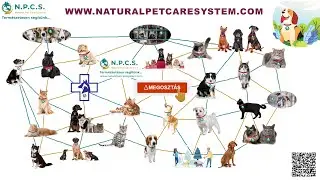 Natural Pet Care System pr&eacute;mium megold&aacute;sok kuty&aacute;k&eacute;rt &eacute;s cic&aacute;k&eacute;rt, nem kiz&aacute;r&oacute;lag a saj&aacute;tjaink&eacute;rt!