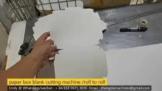 paper box blank cutting in China PE paper factory , roll to roll punching machine